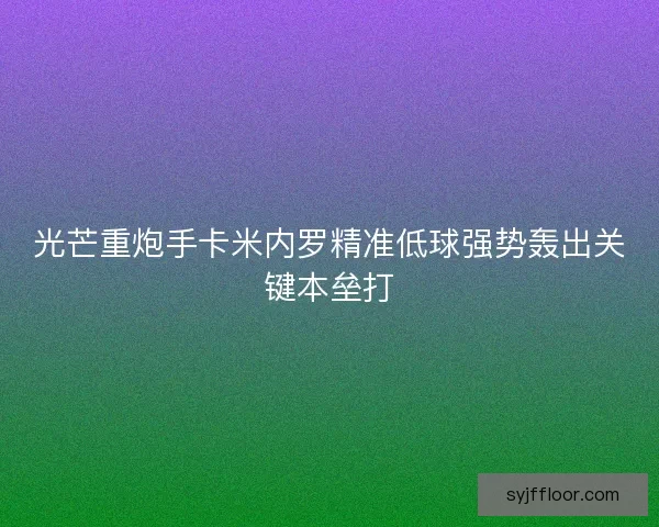 光芒重炮手卡米内罗精准低球强势轰出关键本垒打 光芒重炮手卡米内罗精准低球强势轰出关键本垒打