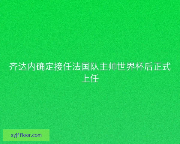 齐达内确定接任法国队主帅世界杯后正式上任 齐达内确定接任法国队主帅世界杯后正式上任
